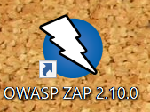 OWASP ZAPのインストール(13)